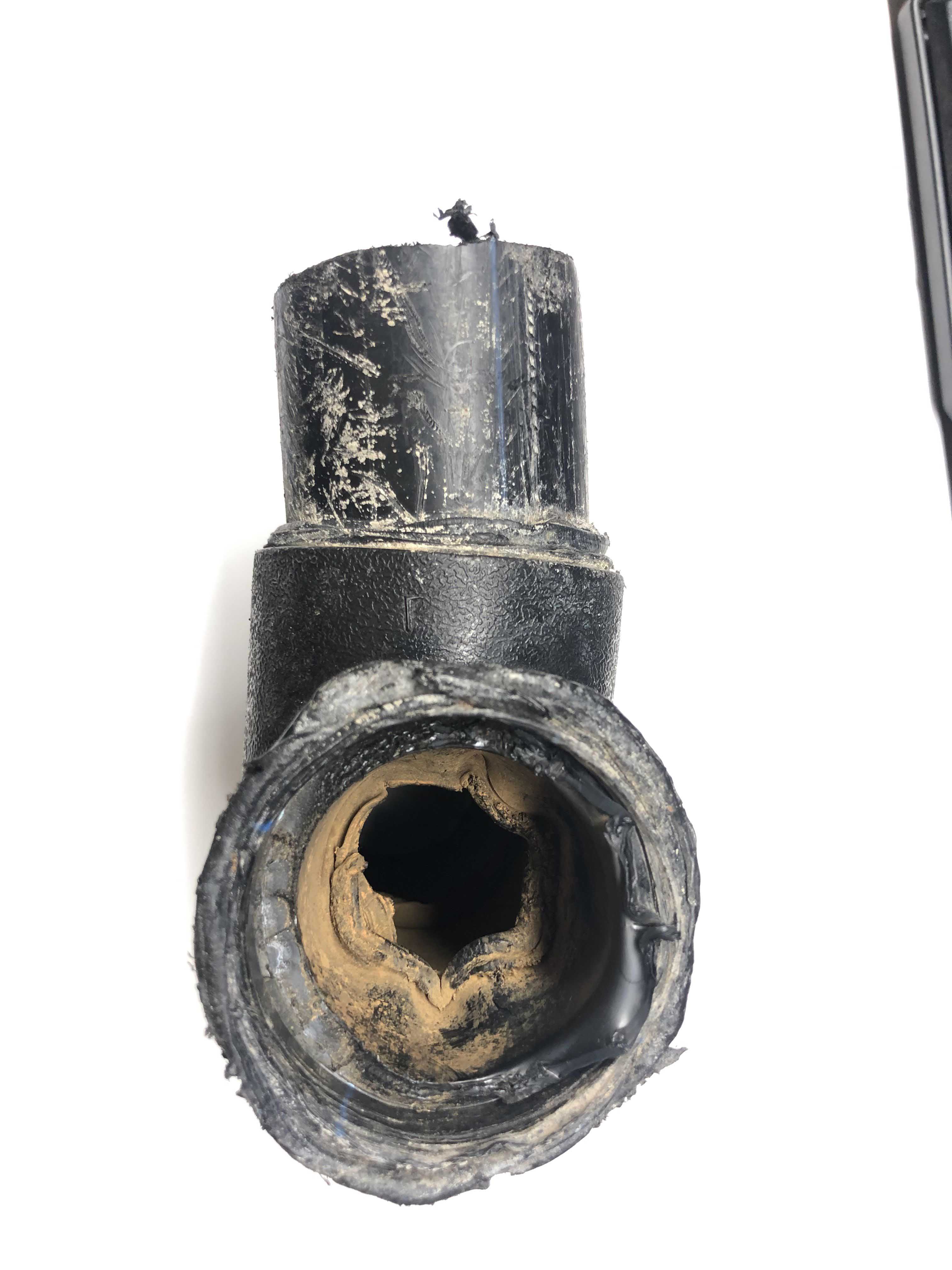 1740127395673146.jpg 2025_02_15_14_51_IMG_0095.JPG