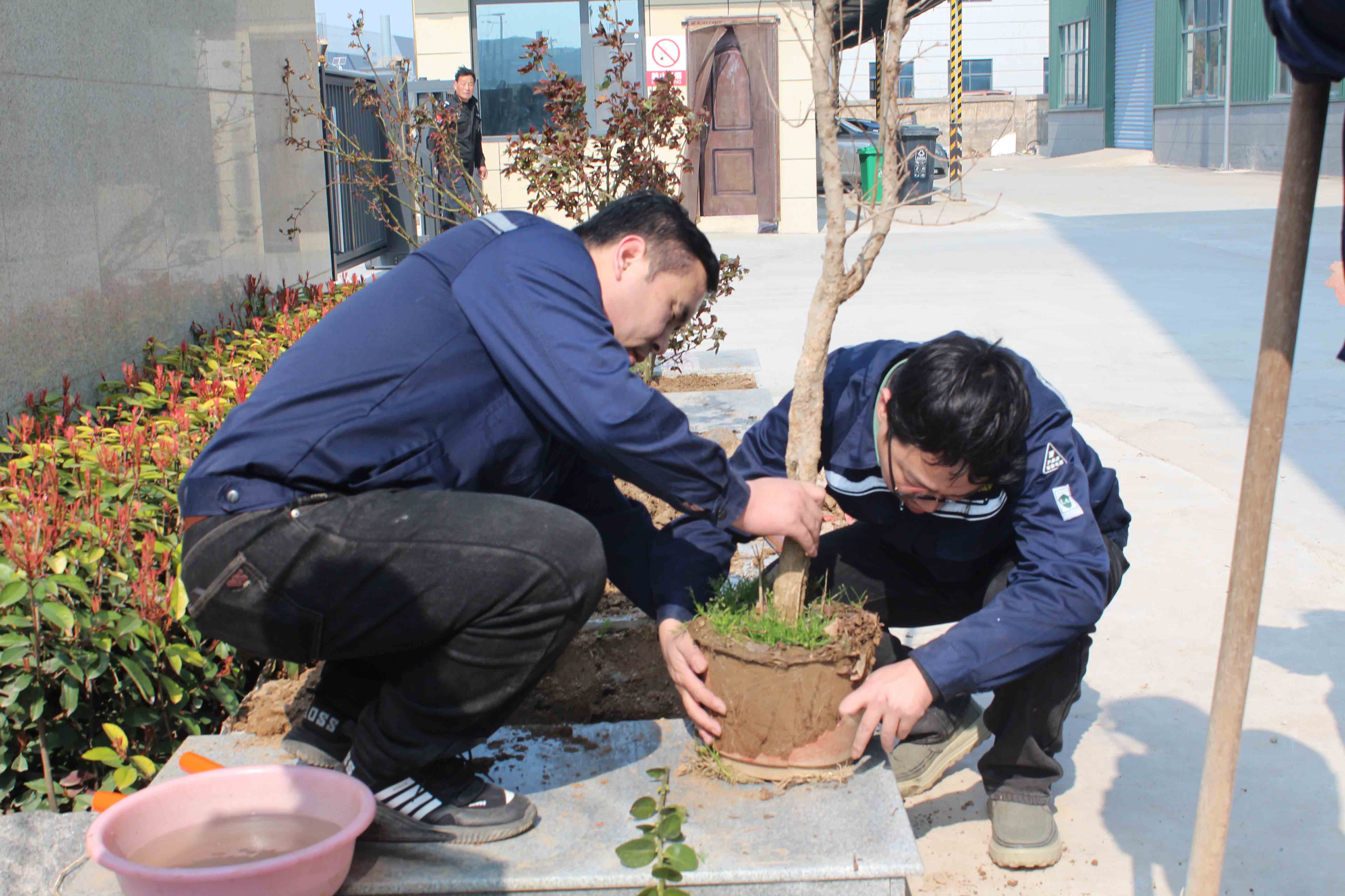 1773364741207542.jpg 植树.jpg